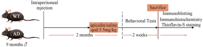 FIGURE 1