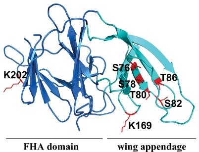 Fig. 8.