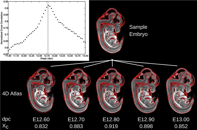 Fig. 6.