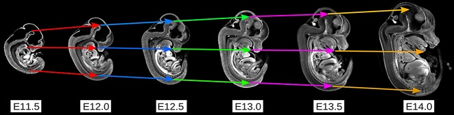 Fig. 3.