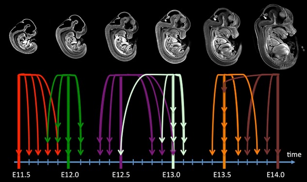 Fig. 4.