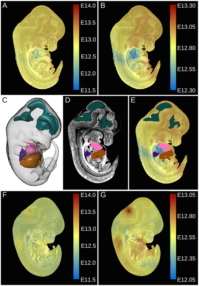 Fig. 7.