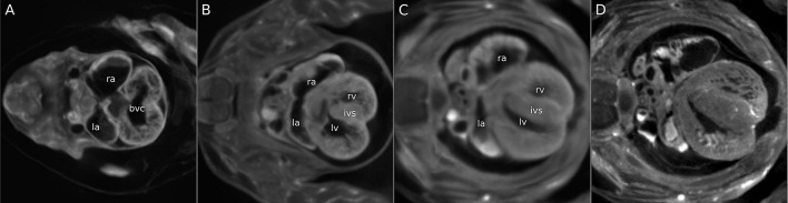 Fig. 5.