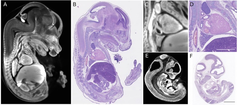 Fig. 8.