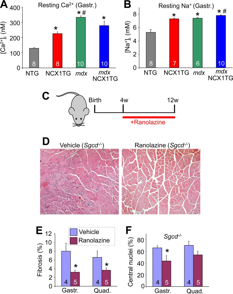 FIG 10