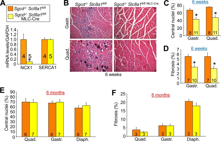 FIG 6