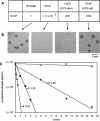 FIG. 2.