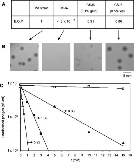 FIG. 2.