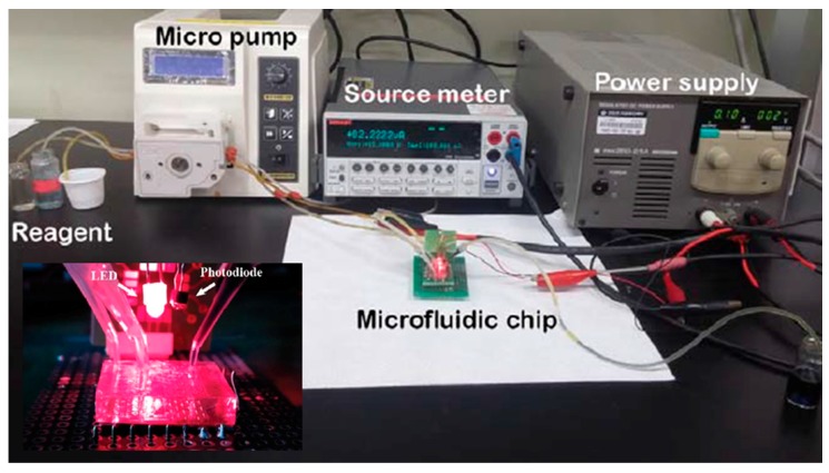 Figure 11