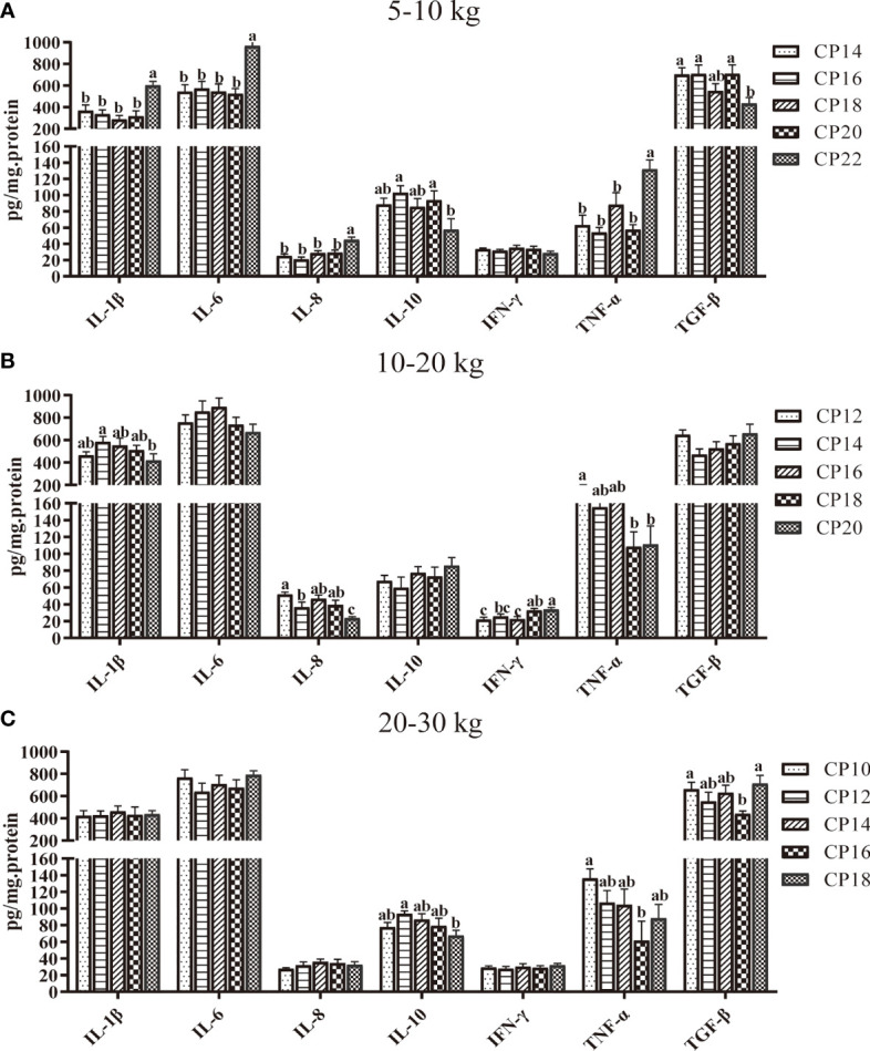 Figure 3
