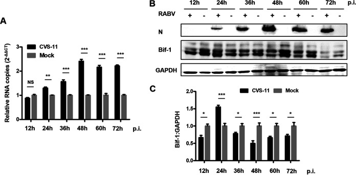 FIG 1