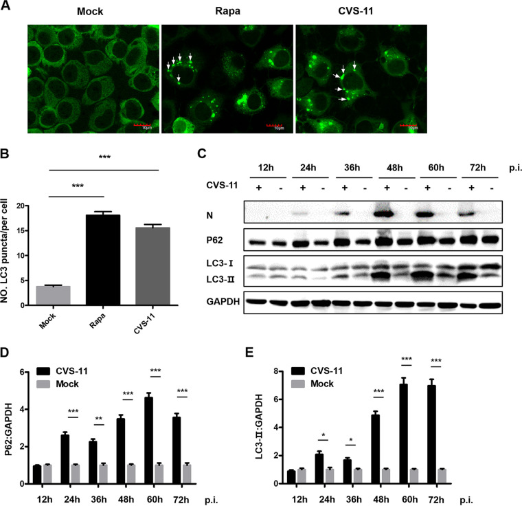 FIG 4