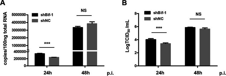 FIG 2