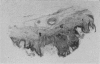 204