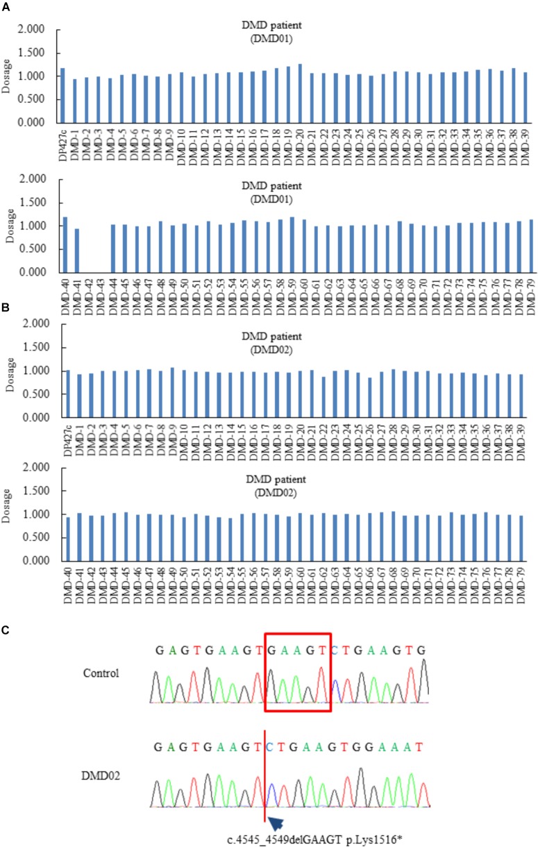 FIGURE 1