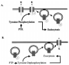FIG. 12