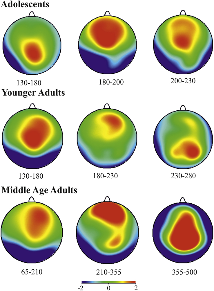 Fig. 3