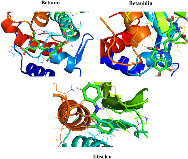 FIGURE 7