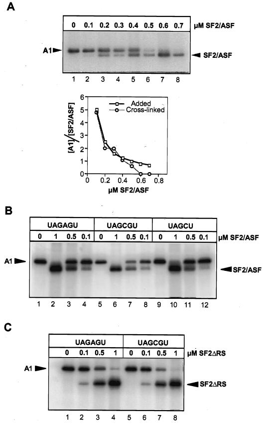 FIG. 6