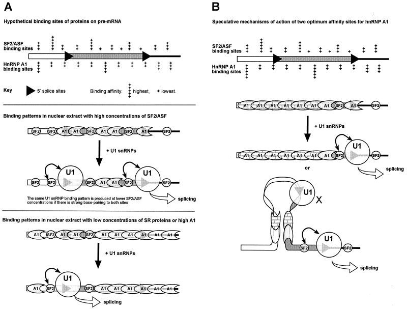 FIG. 9