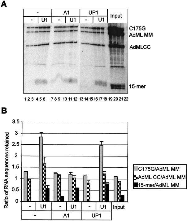 FIG. 5