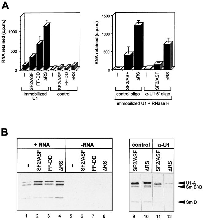 FIG. 7