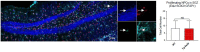 Author response image 6.