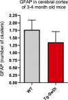 Figure 3—figure supplement 5.