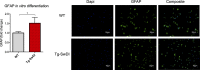 Figure 3—figure supplement 3.