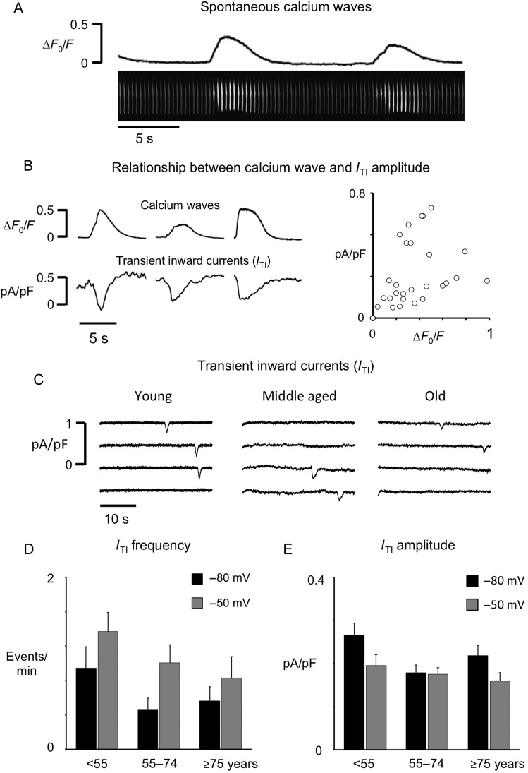 Figure 5