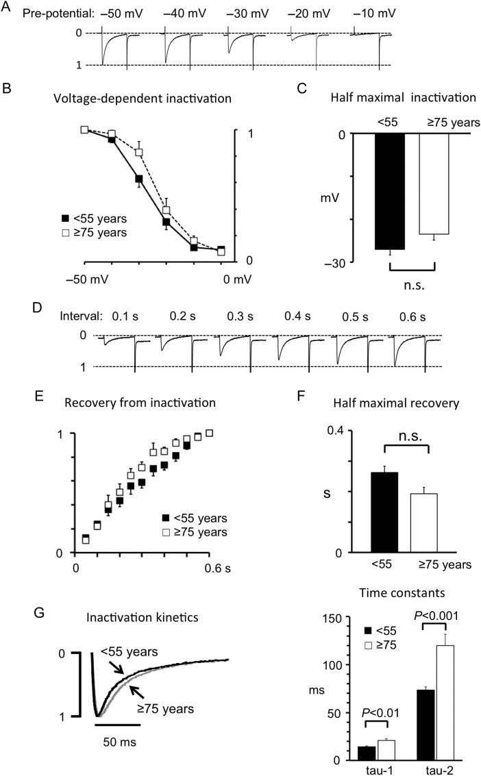 Figure 3