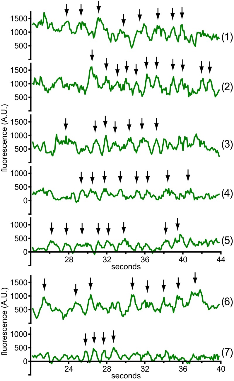 Fig. S10.