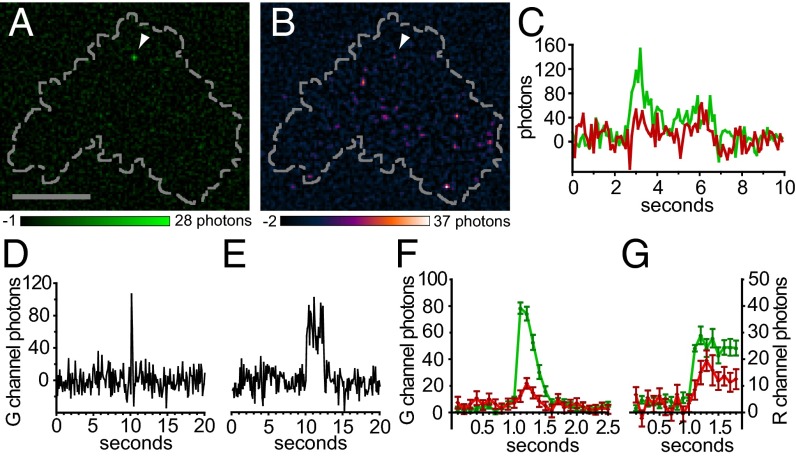 Fig. 2.