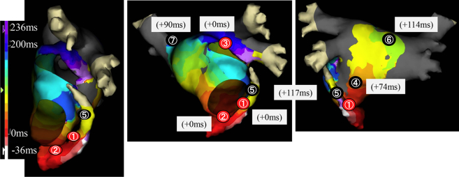 Figure 3