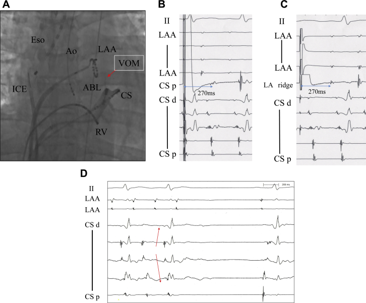 Figure 2