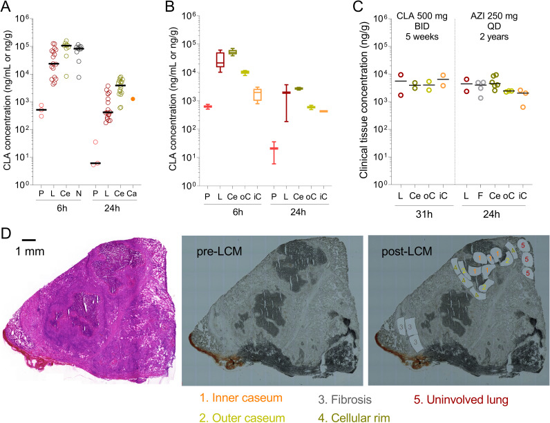 FIG 2