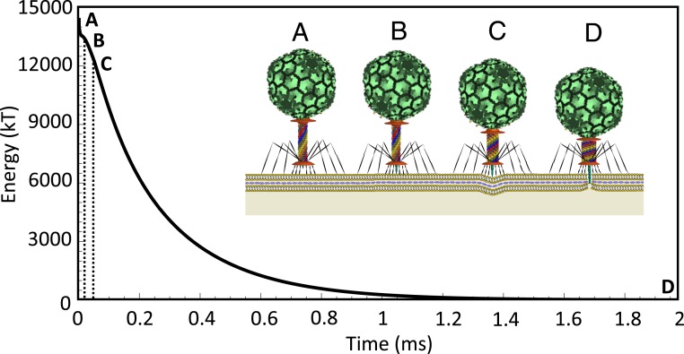 Fig. 4.