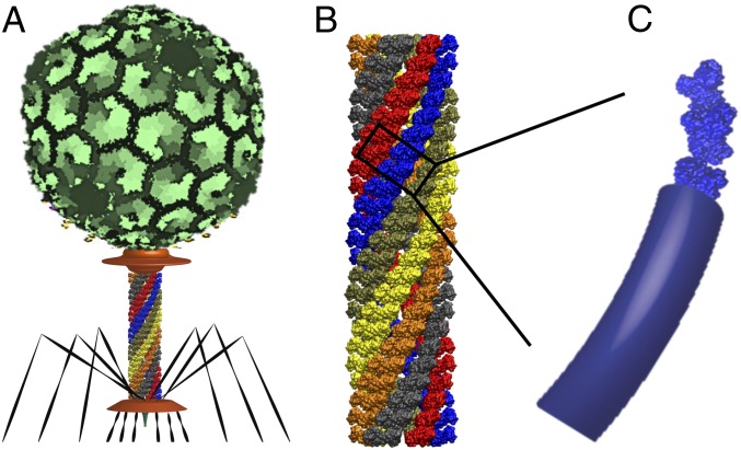 Fig. 3.