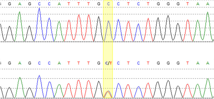 Fig. 4