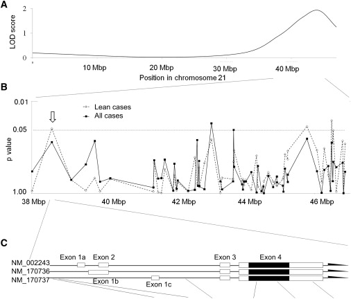 Figure 1