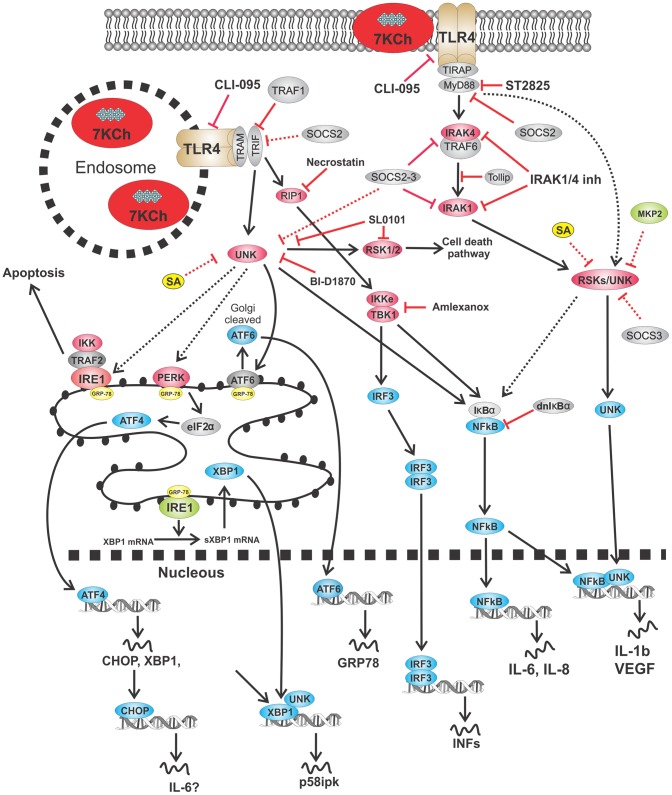 Figure 20