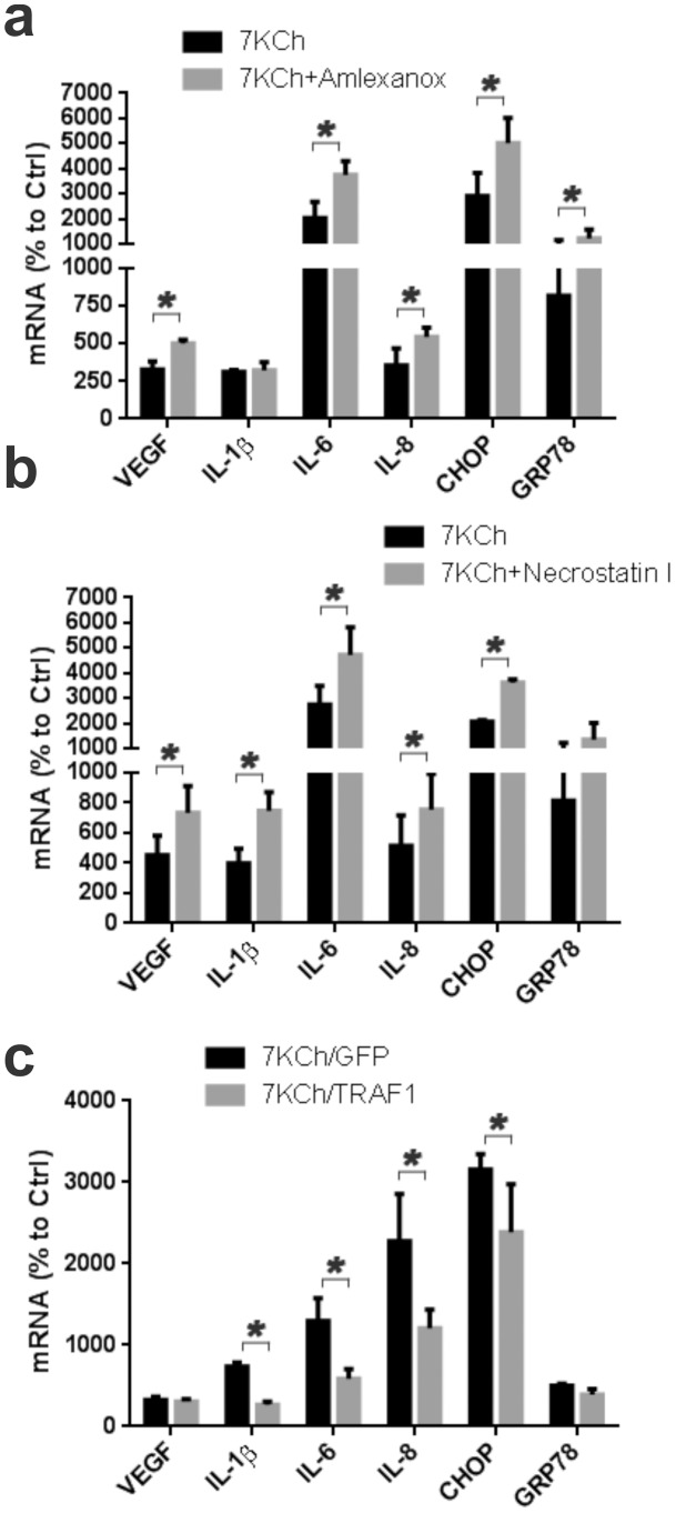 Figure 16