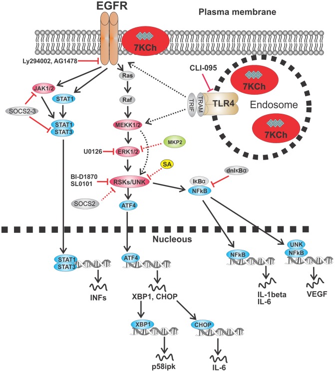 Figure 19