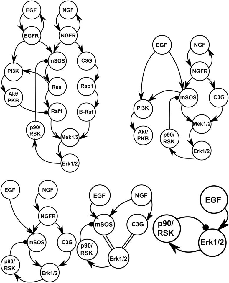 Fig 10