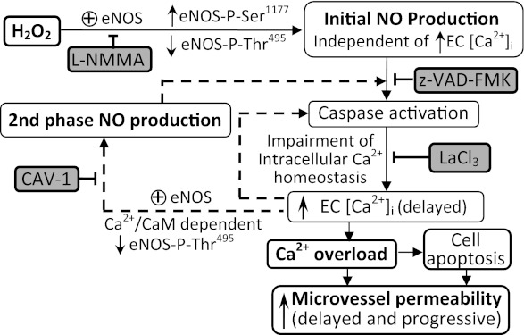 Fig. 8.