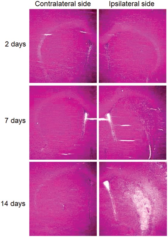 Figure 6.