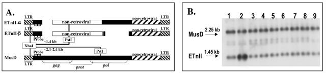 FIG. 9.