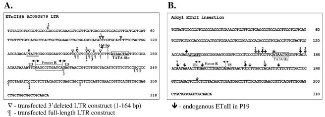 FIG. 8.