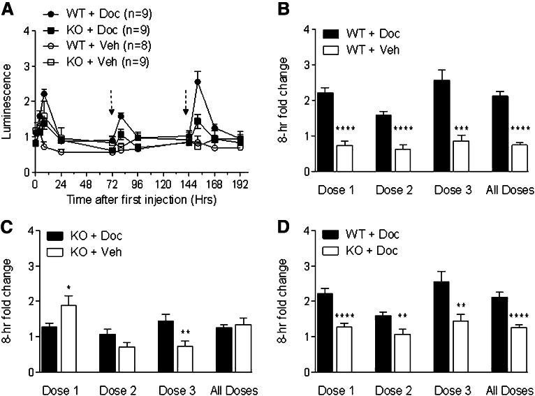 Fig. 4.