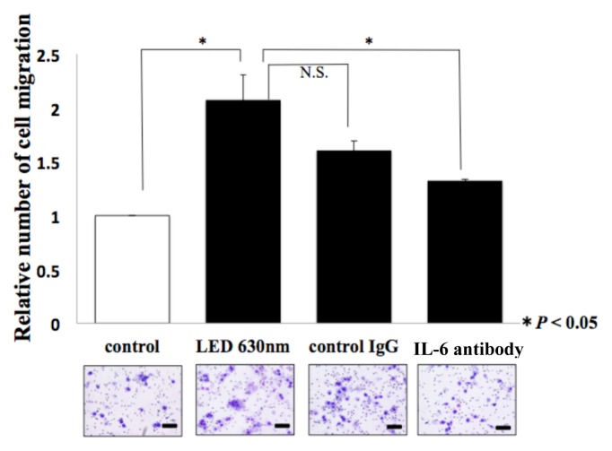 Figure. 5b